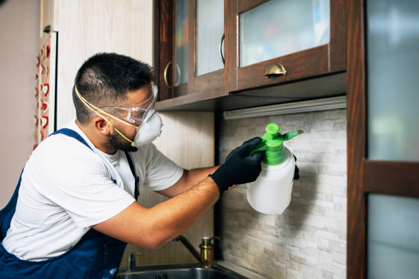 Best Best Pest Control Companies  in Milton, LA
