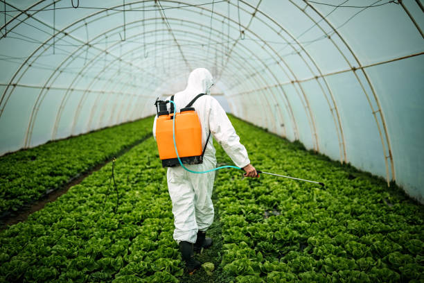 Best Pest Inspection Near Me  in Milton, LA