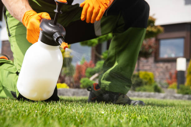Best Rat Extermination Near Me  in Milton, LA