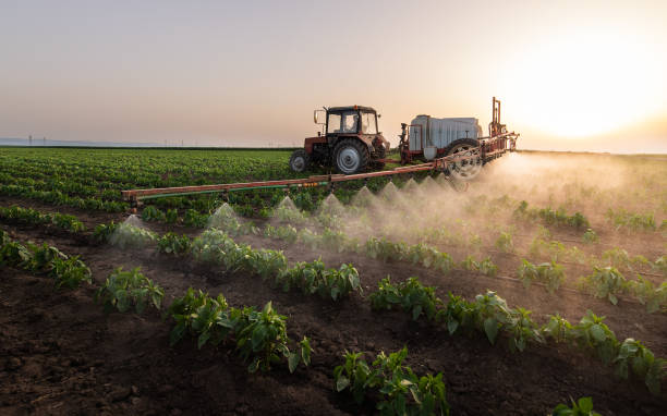 Best Wildlife Control Services  in Milton, LA