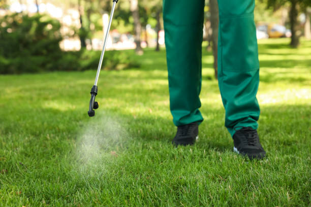 Best Mosquito Control Services  in Milton, LA