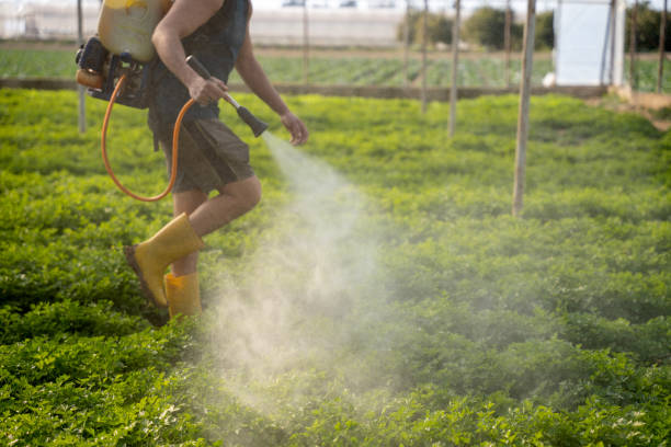 Best Exterminator Services  in Milton, LA