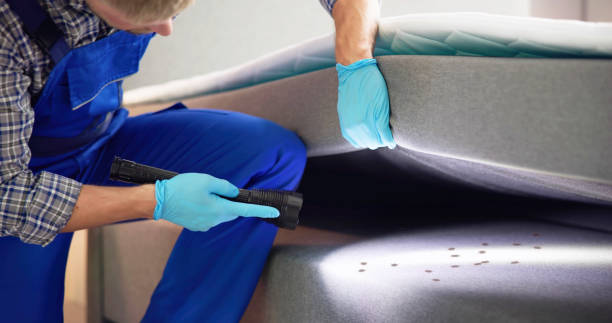 Best Residential Pest Control  in Milton, LA