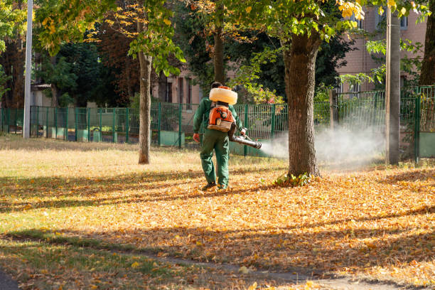 Best Spider Control Near Me  in Milton, LA